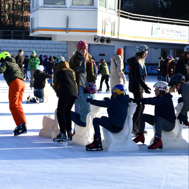 Eisbärenkette